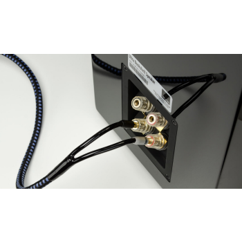 KABEL SVS SoundPath Ultra Speaker Cable 2,44m (8FT)